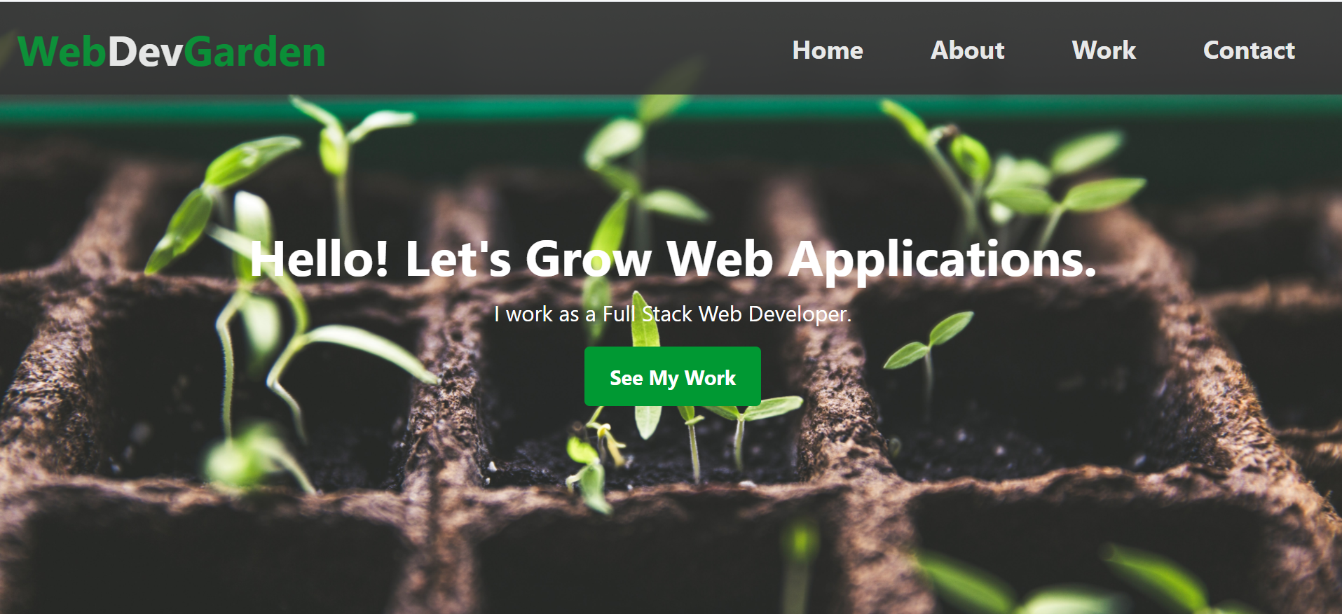 Image of a portfolio website.